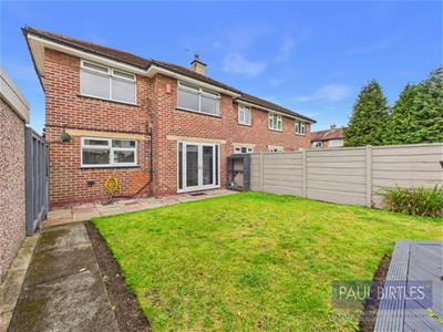 Picture 25